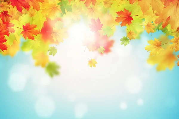 Colorful leaves background — Stock Photo, Image