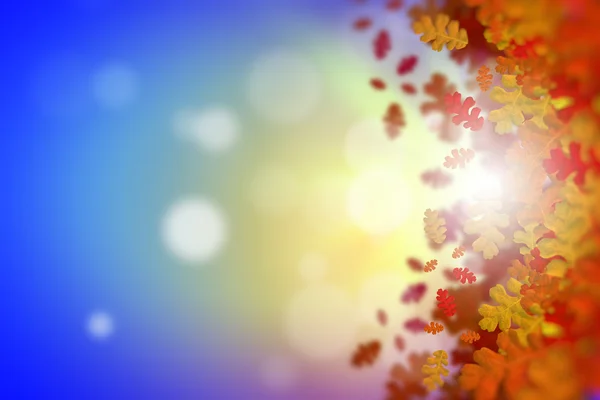 Colorful leaves background — Stock Photo, Image