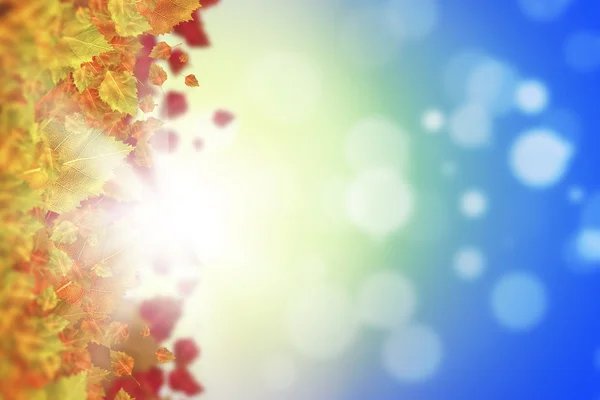 Färgglada löv bakgrund — Stockfoto