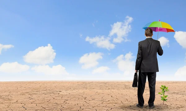 Businessman with umbrella protecting sprout — Stock Photo, Image