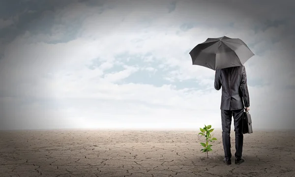 Бизнесмен с зонтиком, защищающим капусту — стоковое фото