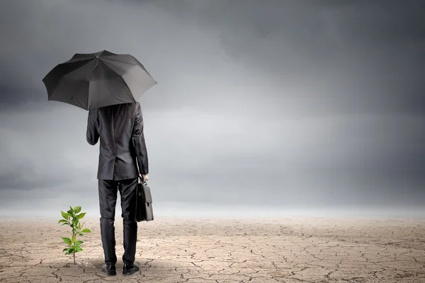Podnikatel s deštníkem ochrana výhonek — Stock fotografie