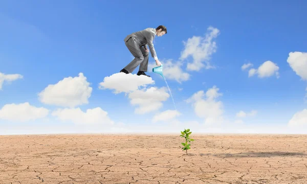 Businessman watering sprout — Stock Photo, Image