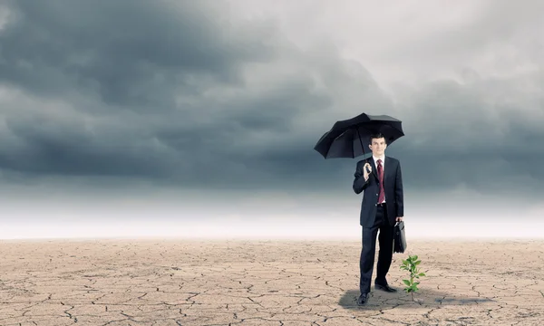 芽を保護する傘を持ったビジネスマン — ストック写真