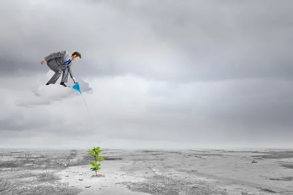 Zakenman drenken sprout — Stockfoto