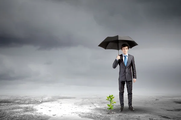 Empresário com guarda-chuva protegendo broto — Fotografia de Stock