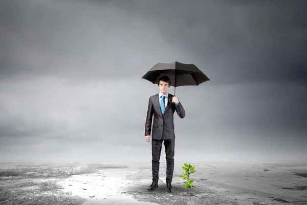 Empresário com guarda-chuva protegendo broto — Fotografia de Stock