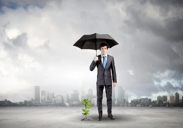 Uomo d'affari con ombrello protezione germoglio — Foto Stock