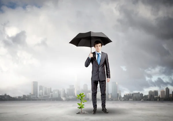 Empresário com guarda-chuva protegendo broto — Fotografia de Stock