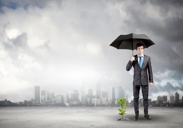 Homme d'affaires avec parapluie protégeant germe — Photo