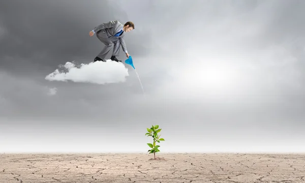 Zakenman permanent op wolk en drenken sprout — Stockfoto