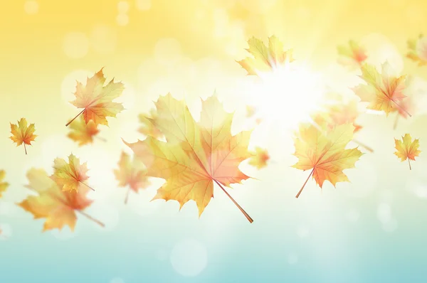 Autumn background — Stock Photo, Image