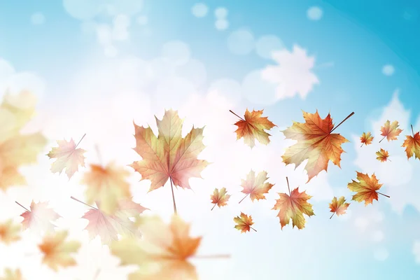 Autumn background — Stock Photo, Image