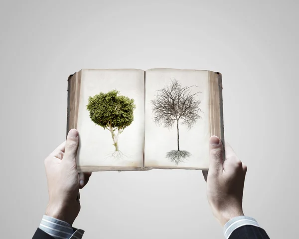 Manos sosteniendo libro con dibujos animados árboles — Foto de Stock