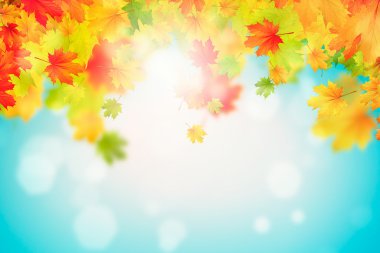 sonbahar yaprakları arka plan