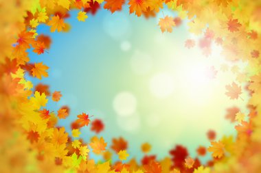 sonbahar yaprakları arka plan