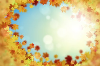 sonbahar yaprakları arka plan