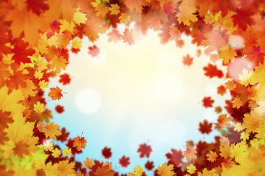 sonbahar yaprakları arka plan