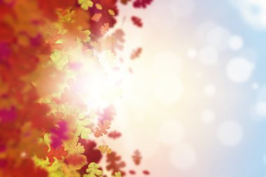 sonbahar yaprakları arka plan