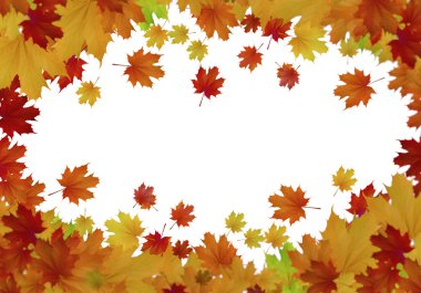 sonbahar yaprakları arka plan