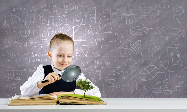 Onderwijs op school — Stockfoto