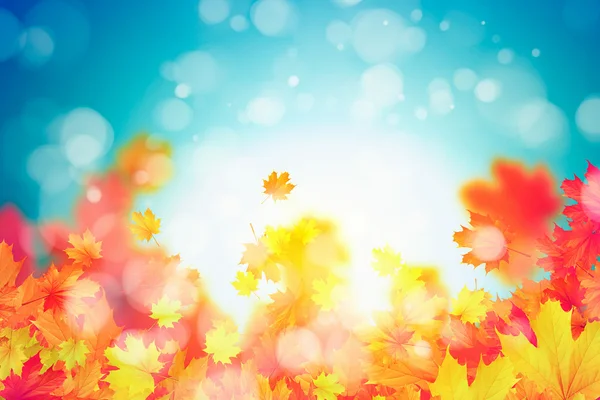 Autumn leaves background — Stock Photo, Image