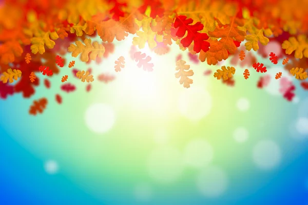 Autumn leaves background — Stock Photo, Image