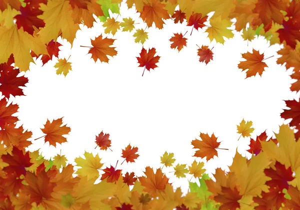 Autumn leaves background — Stock Photo, Image