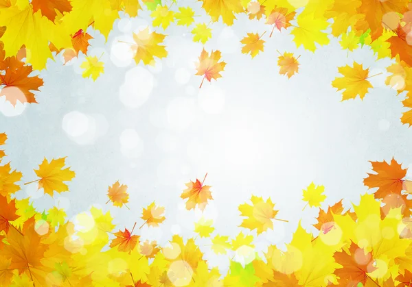 Autumn leaves background — Stock Photo, Image