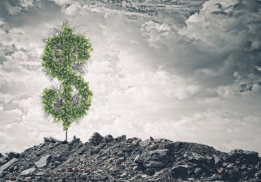 dolar işareti kalıntıları üzerinde büyüyen