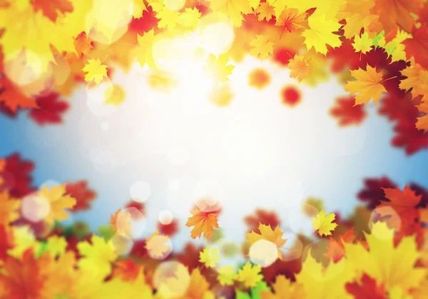 Autumn leaves background — Stock Photo, Image