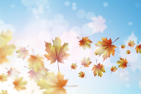 Autumn leaves background — Stock Photo, Image