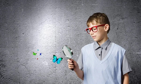 Escola menino examinando borboleta — Fotografia de Stock