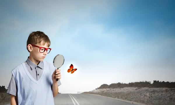 Scuola ragazzo esaminando farfalla — Foto Stock