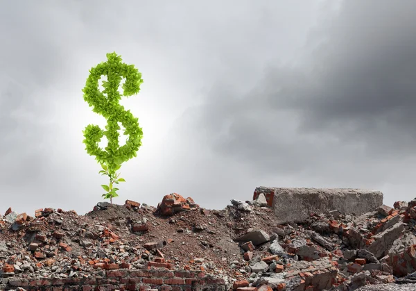 Dollar sign growing on ruins — Stock Photo, Image