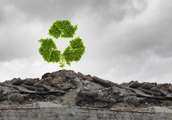 Recycle green sign growing on ruin — Stock Photo, Image