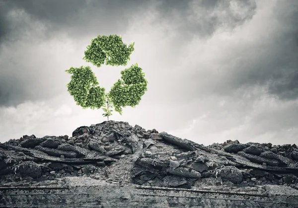 Recycle green sign growing on ruin — Stock Photo, Image