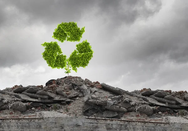 Reciclar sinal verde crescendo na ruína — Fotografia de Stock