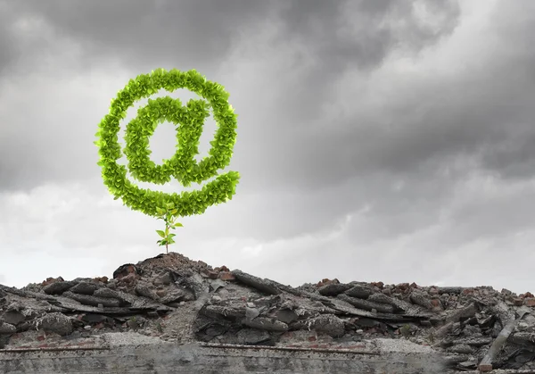 Image with at symbol growing on ruins — Stock Photo, Image