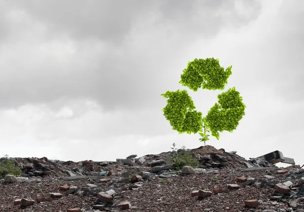 Recycle green sign growing on ruin — Stock Photo, Image