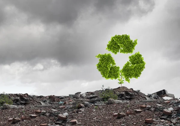 Reciclar signo verde creciendo en la ruina —  Fotos de Stock