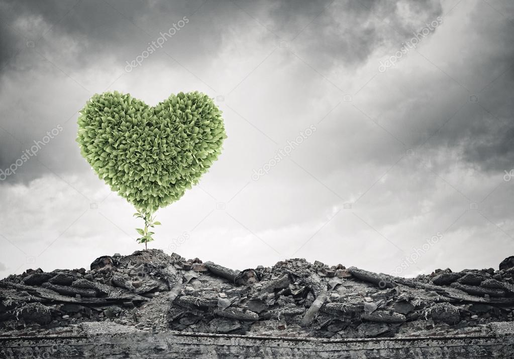 Green heart growing on ruins