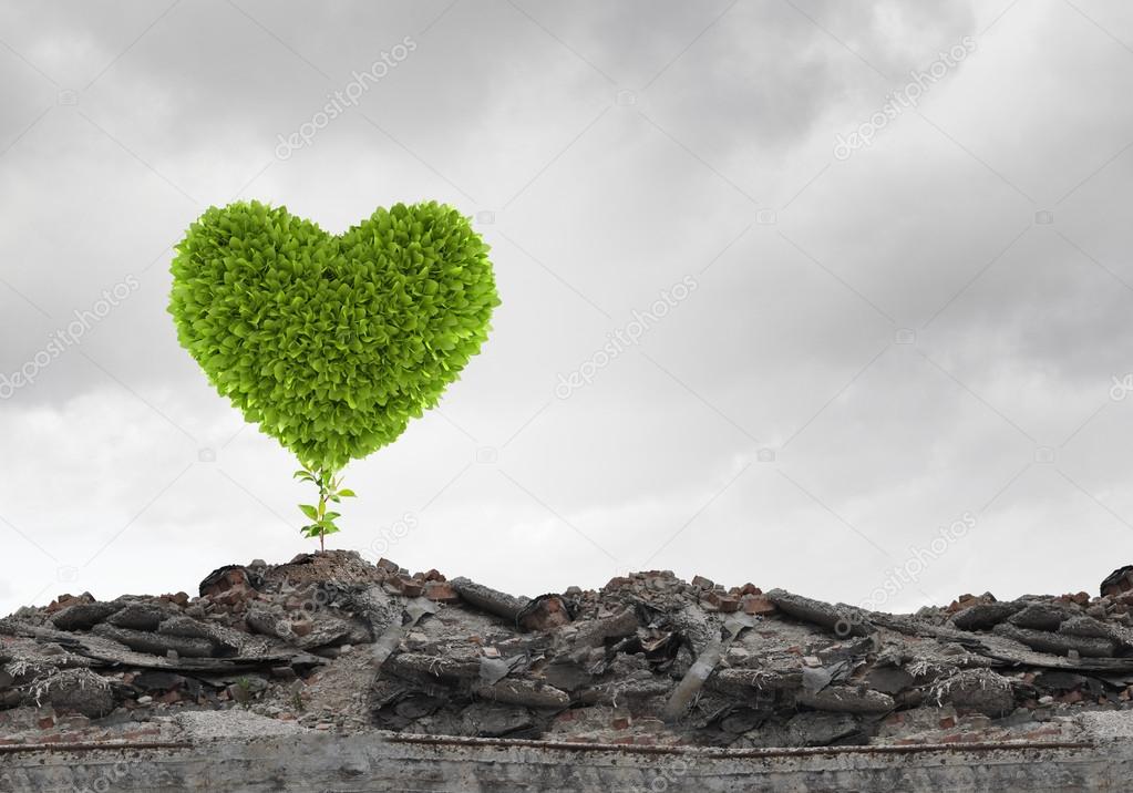 Green heart growing on ruins