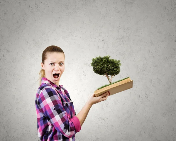 Mulher segurando livro com árvore verde — Fotografia de Stock