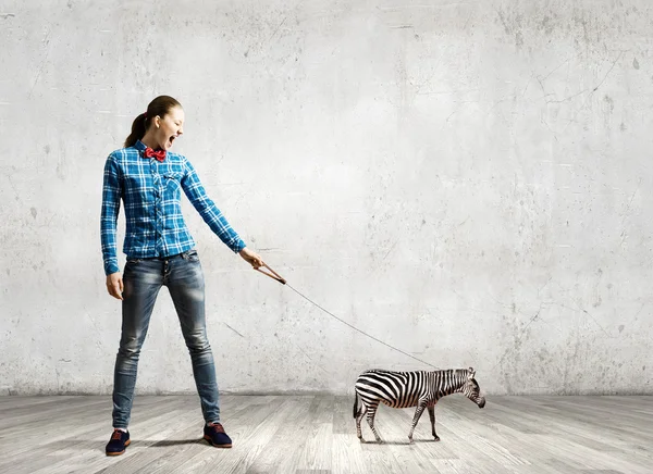 Mulher segurando zebra na liderança — Fotografia de Stock