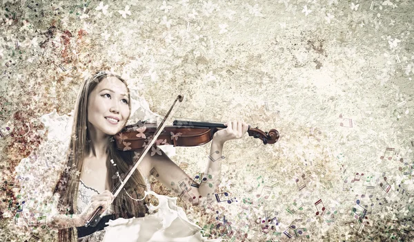 女人小提琴 — 图库照片