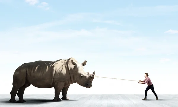 Man holding rhino — Stock Photo, Image