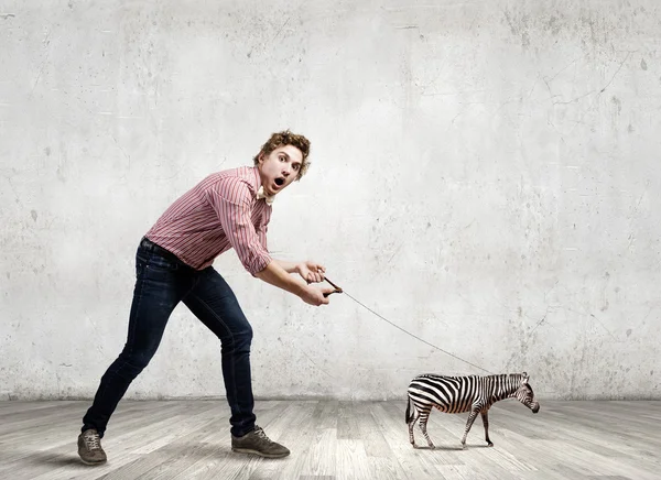 Homem segurando zebra — Fotografia de Stock