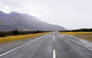 Yeni Zelanda Alpler ve yol