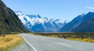 New Zealand landscape clipart